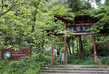 九龙沟第 13 张图片