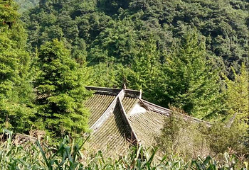 九龙沟第 19 张图片