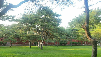 地坛公园第 79 张图片