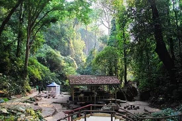 莫里热带雨林景区第 64 张图片