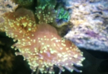 广州海洋馆第 77 张图片