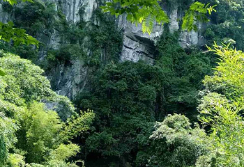 鹿寨香桥岩溶国家地质公园第 39 张图片