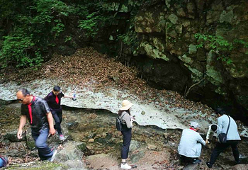绿石谷第 51 张图片