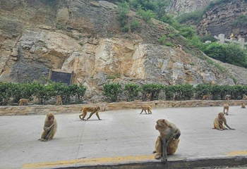 五龙口风景区第 31 张图片