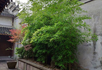 郑氏十七房第 23 张图片
