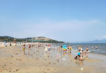 大亚湾第 37 张图片