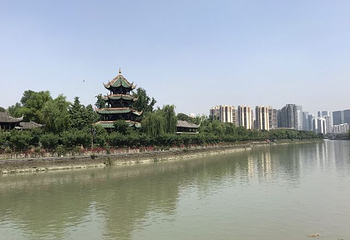 望江楼公园第 89 张图片
