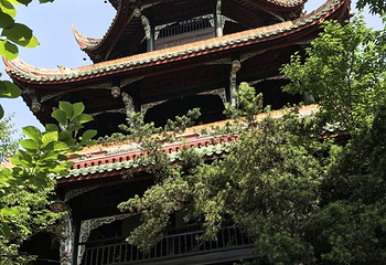 望江楼公园第 87 张图片
