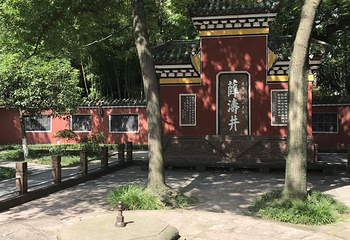 望江楼公园第 85 张图片