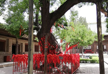 双林寺第 117 张图片