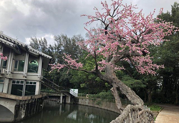 海上田园第 57 张图片