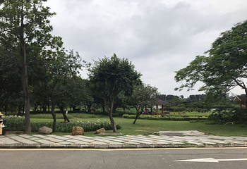 海上田园第 55 张图片