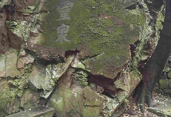 招宝山第 26 张图片