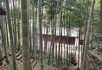 西径山第 14 张图片