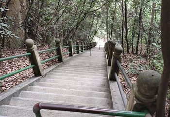 西径山第 11 张图片