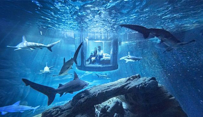 下田海中水族馆第 14 张图片