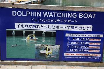 下田海中水族馆第 13 张图片
