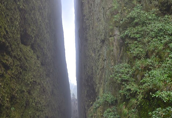 江郎山风景名胜区第 155 张图片