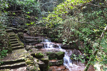 江郎山风景名胜区第 148 张图片