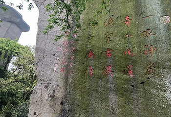吼山第 18 张图片