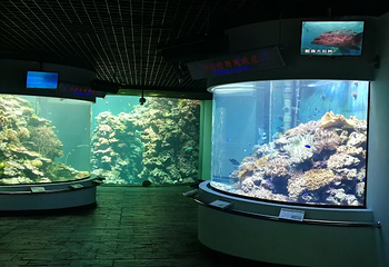 台湾海洋生物博物馆第 62 张图片