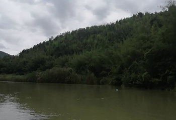 龙鲸河漂流第 14 张图片