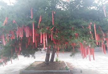 敕建三义宫第 10 张图片