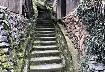 程阳八寨第 99 张图片