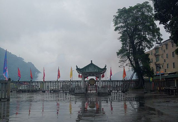 悦城龙母祖庙(龙母庙)第 14 张图片