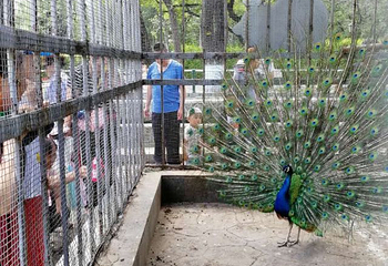 兆麟公园第 23 张图片