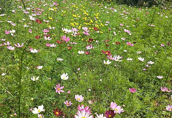 天眼洞花岭风景区第 30 张图片