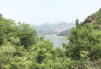 燕塞湖鸟语林第 24 张图片