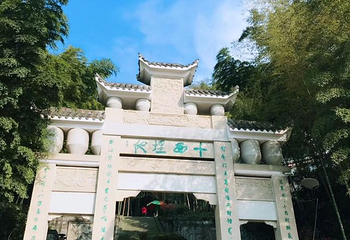 茶山竹海第 32 张图片