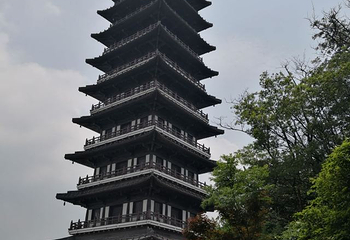 龙背山森林公园第 40 张图片