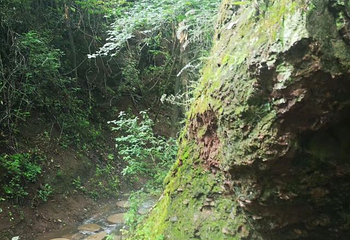 马陵山风景名胜区第 44 张图片