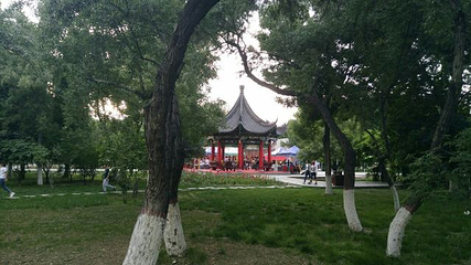 中山公园第 17 张图片