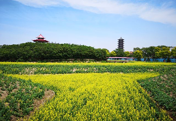 沈阳三农博览园第 28 张图片
