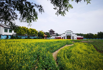 沈阳三农博览园第 27 张图片