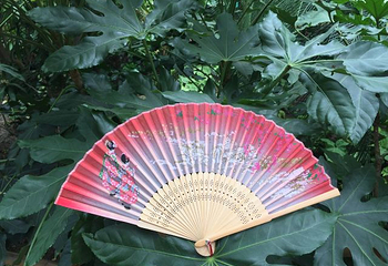 世界花卉大观园第 106 张图片