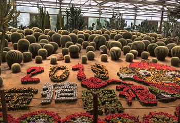 世界花卉大观园第 102 张图片
