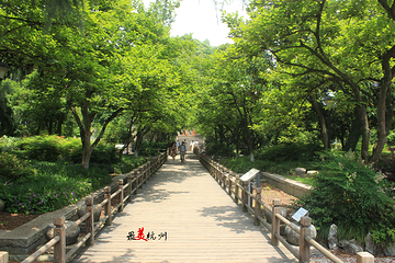 孤山第 25 张图片