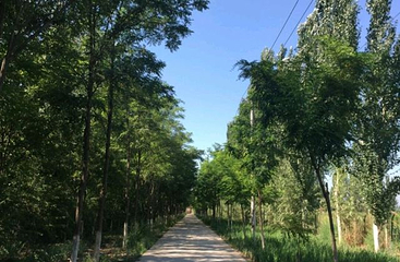 银川鸣翠湖国家湿地公园第 25 张图片