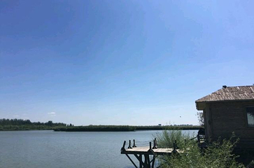 银川鸣翠湖国家湿地公园第 23 张图片