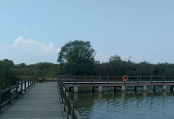 黄河口生态旅游区第 149 张图片
