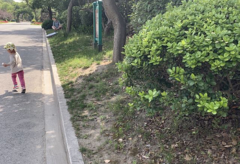 啬园第 12 张图片