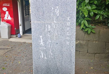 息烽集中营革命历史纪念馆第 55 张图片