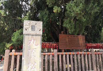 四门塔第 20 张图片