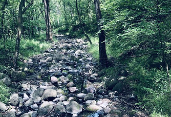 珍珠泉风景区第 22 张图片
