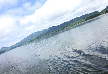 仙女湖第 75 张图片