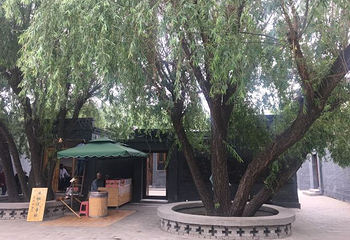 白洋淀文化苑第 33 张图片
